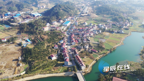 (大桥村鸟瞰全景。)