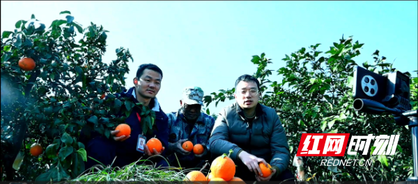 图片5.png 图片5.png